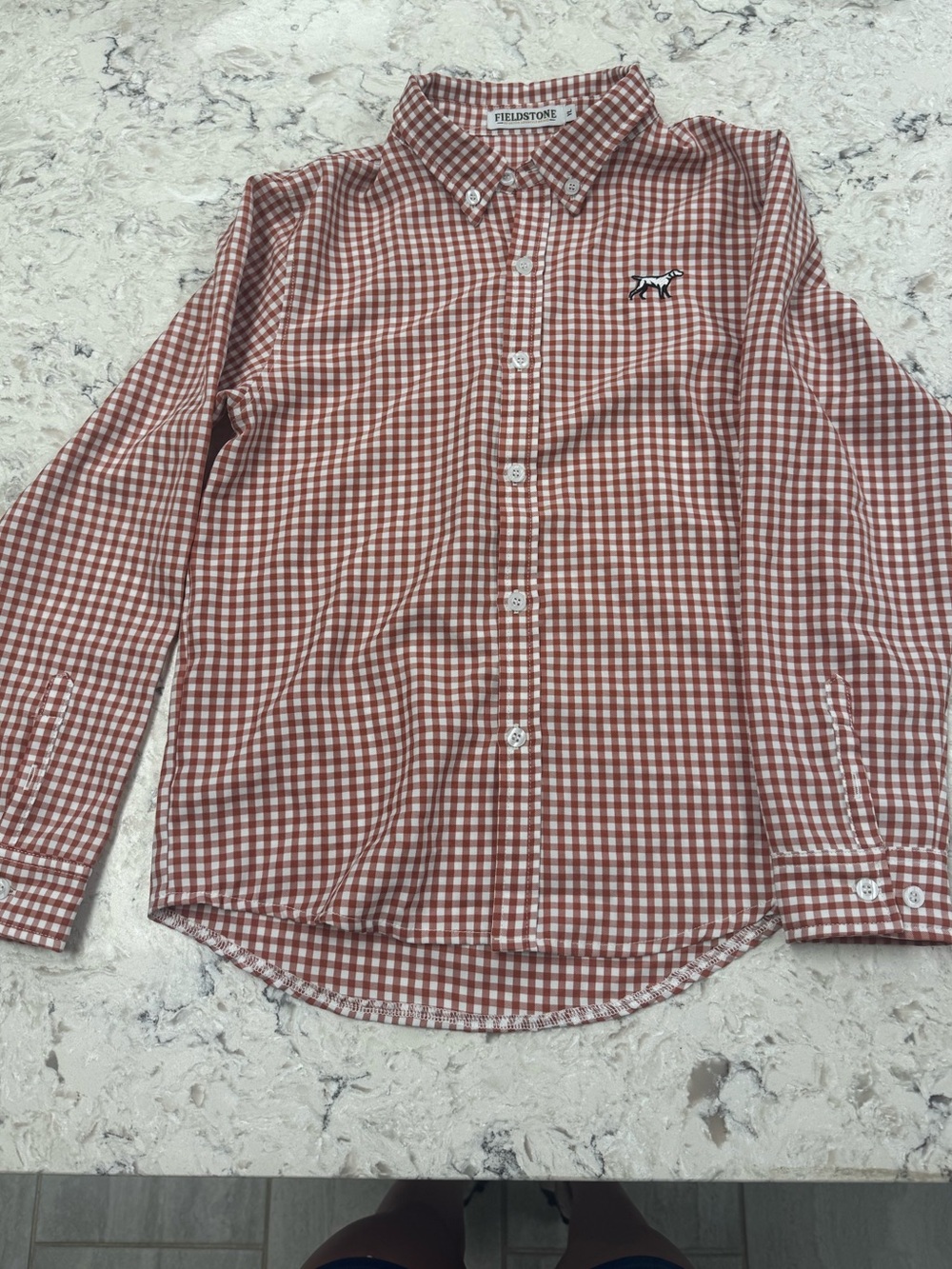 Fieldstone Boys' Rust Gingham Button-Down Shirt